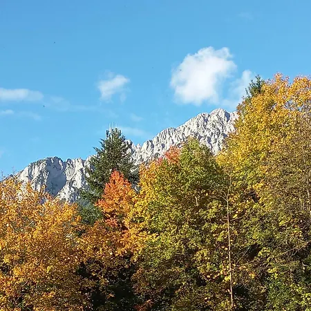 Апартаменты Scheffauerhof