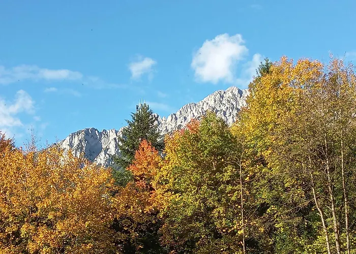 Apartament Scheffauerhof