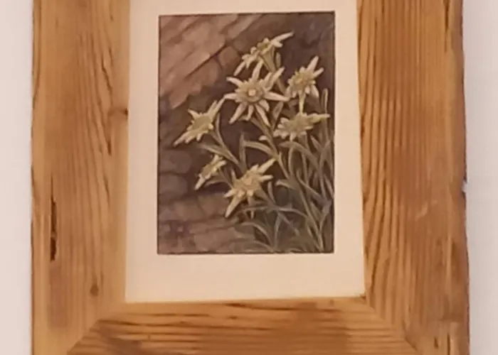 Lejlighed Scheffauerhof *