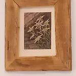 Appartement Scheffauerhof *