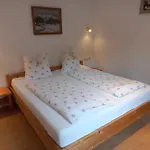 Appartement Scheffauerhof Scheffau am Wilden Kaiser